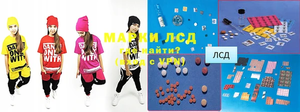 spice Аркадак