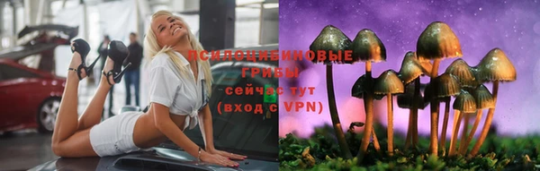 крисы Алзамай