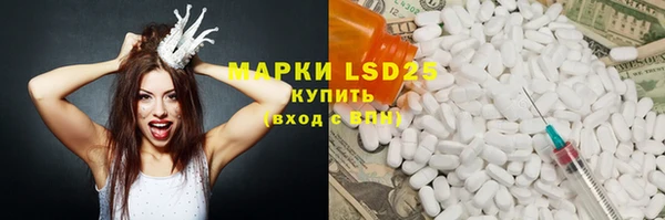 spice Аркадак