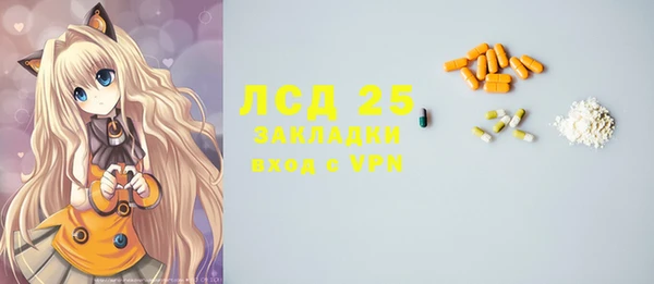 крисы Алзамай