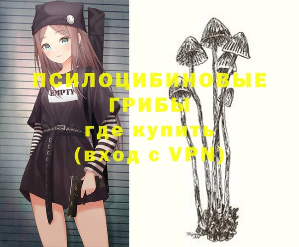 крисы Алзамай