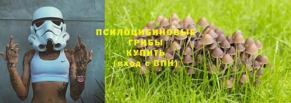 spice Аркадак